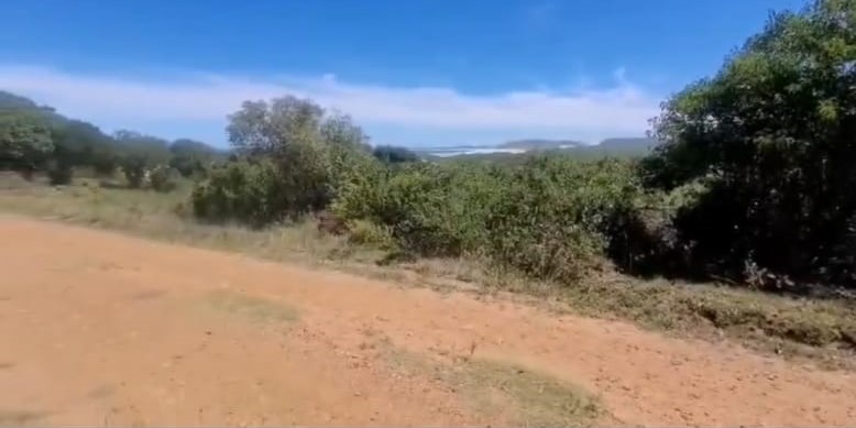 0 Bedroom Property for Sale in Oyster Bay Eastern Cape